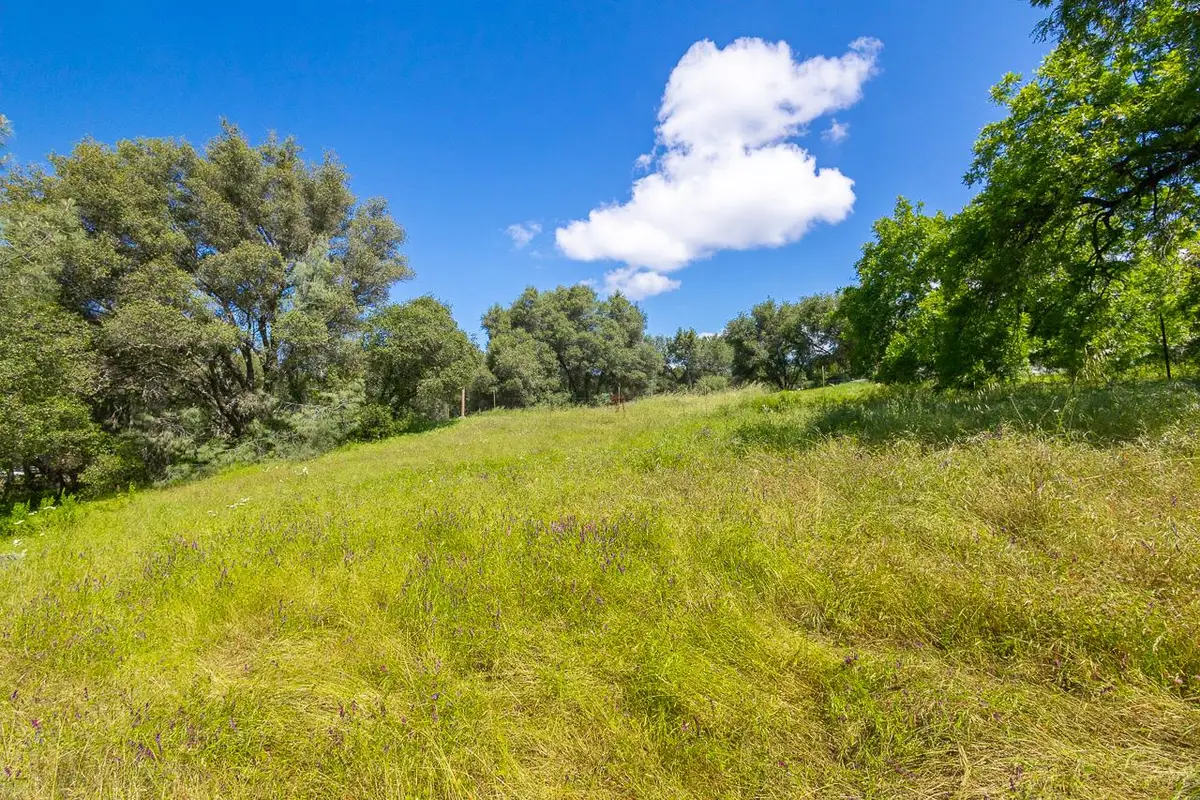 18590 Burke Drive, Plymouth, CA 95669 - #1