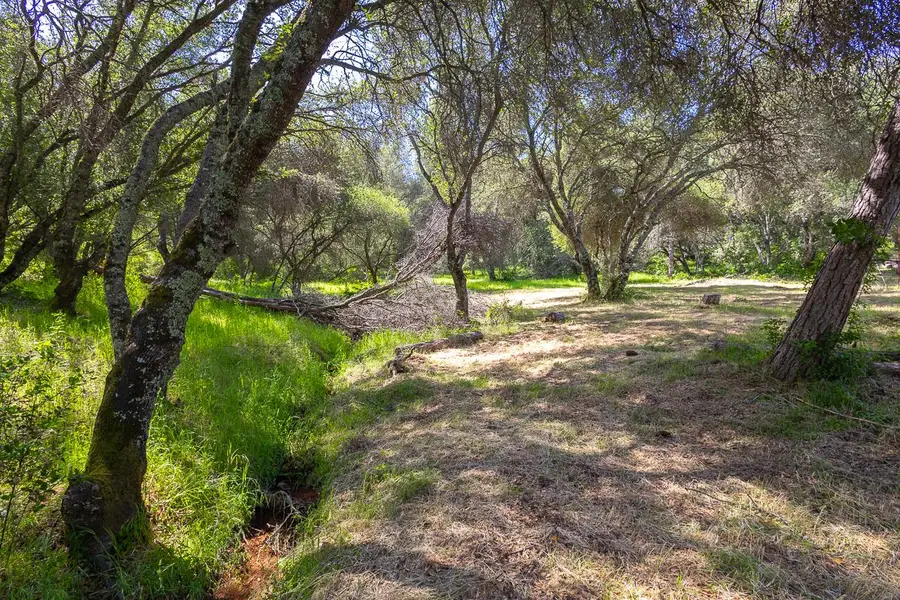 18590 Burke Drive, Plymouth, CA 95669 - #3