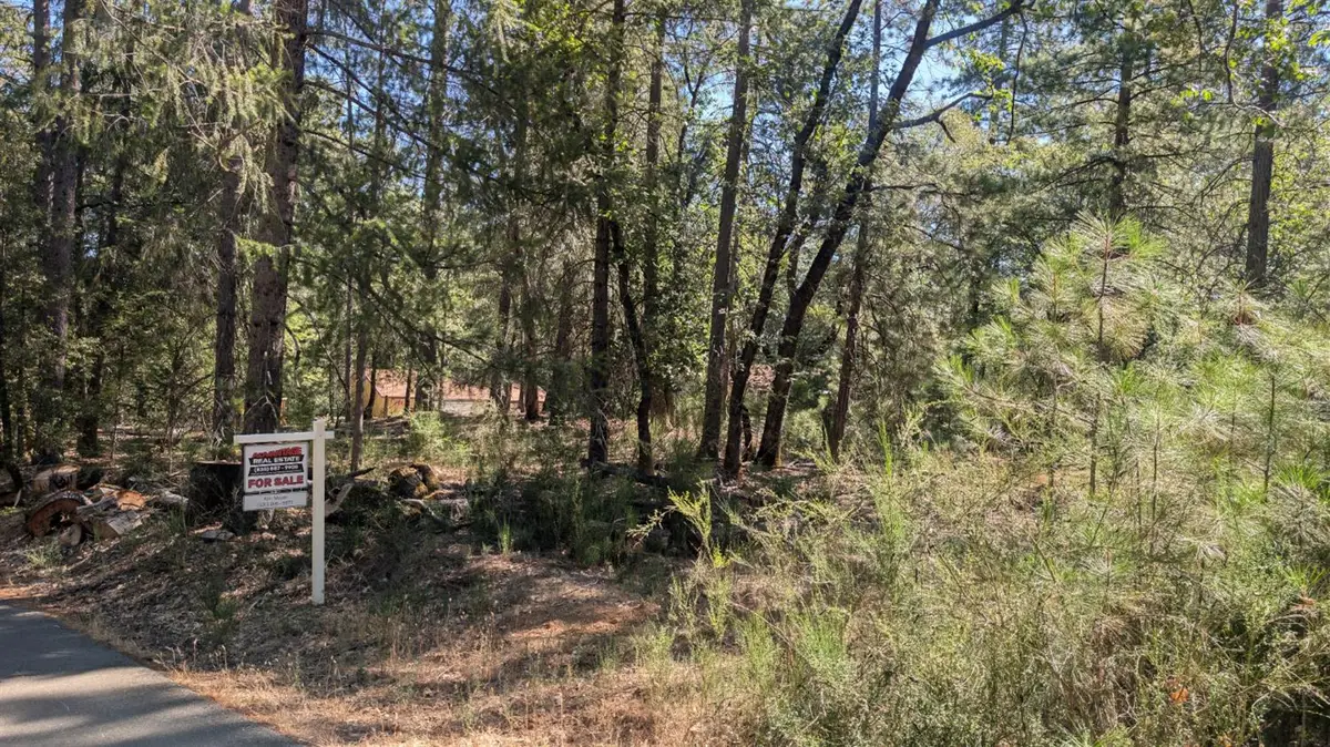 0 S Manzanita Hills Road, Colfax, CA 95713 - #1