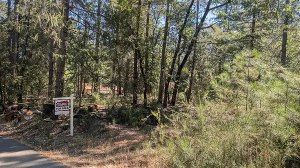 0 S Manzanita Hills Road, Colfax, CA 95713