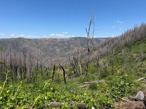 0 Rubicon Road, Georgetown, CA 95634