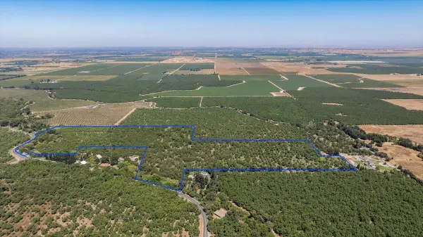 8600 Duncan Road, Linden, CA 95236