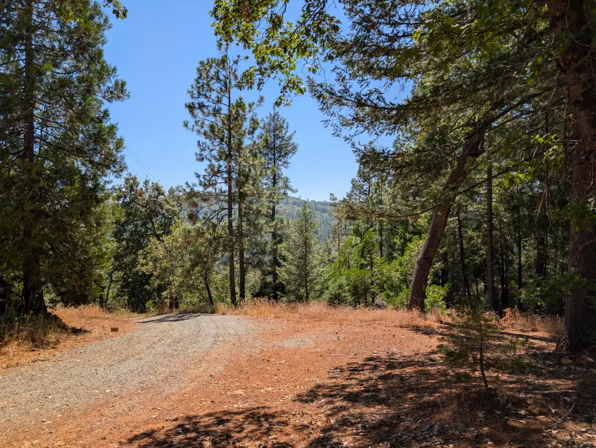 13025 Wild Life Lane, Grass Valley, CA 95945 - #1