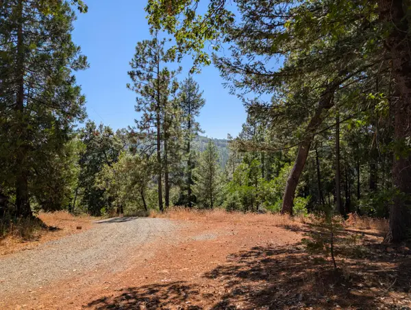 13025 Wild Life Lane, Grass Valley, CA 95945