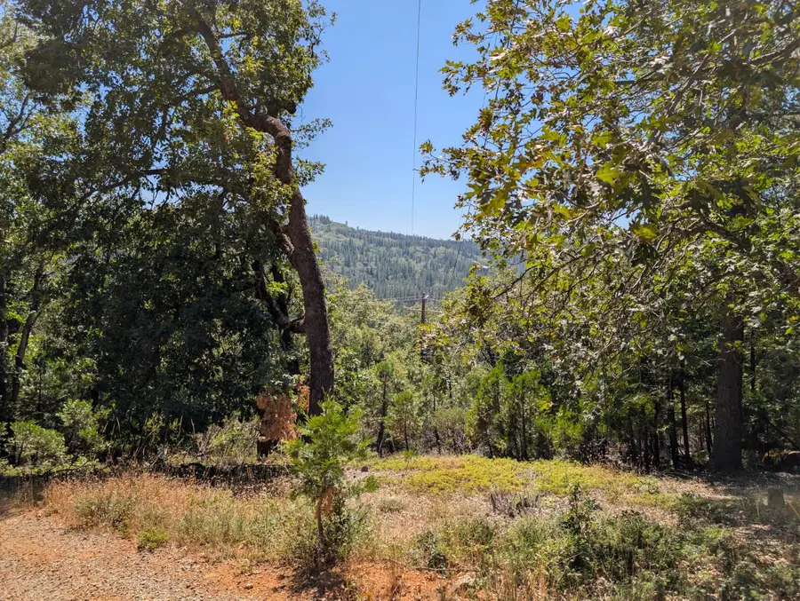 13025 Wild Life Lane, Grass Valley, CA 95945 - #3