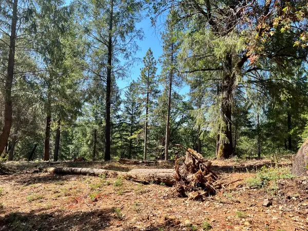 43 Bottle Hill Road, Georgetown, CA 95634