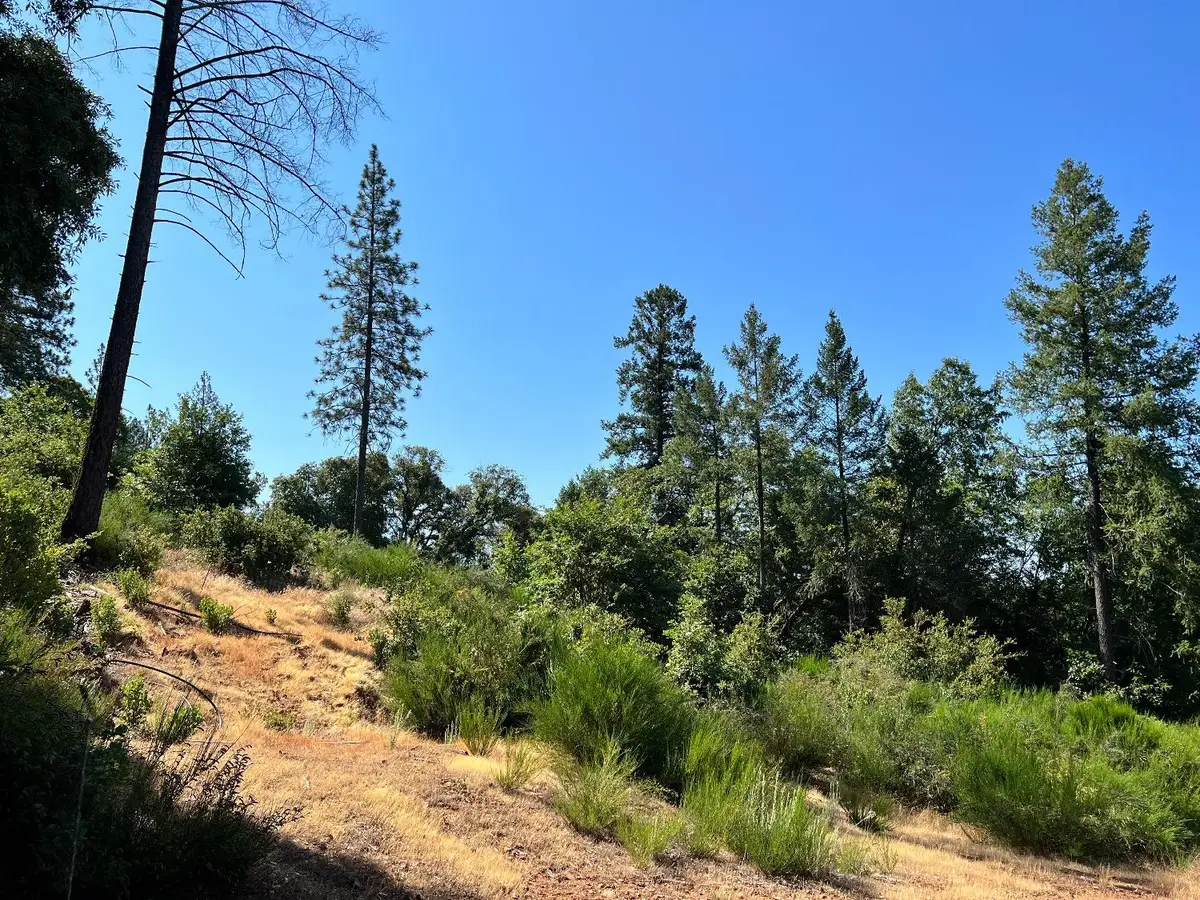 75 Bottle Hill Road, Georgetown, CA 95634 - #1