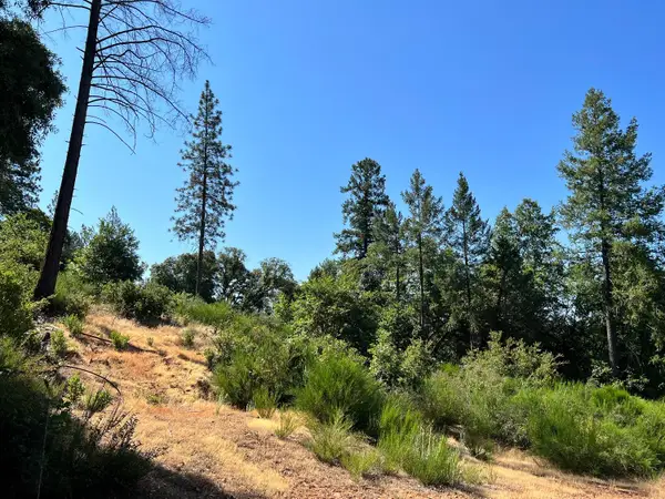 75 Bottle Hill Road, Georgetown, CA 95634