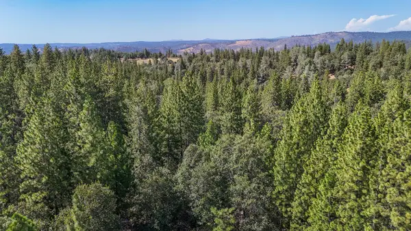 0 Grizzly Flat Road, Somerset, CA 95684