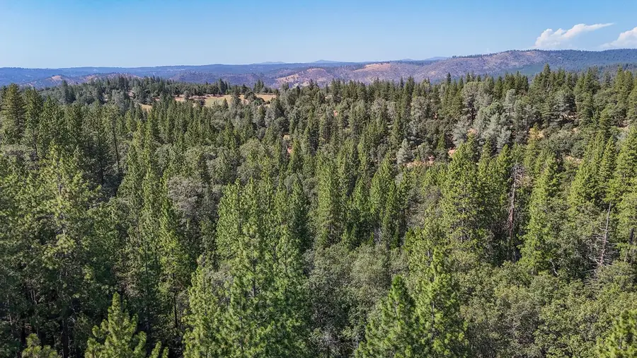 0 Grizzly Flat Road, Somerset, CA 95684 - #2