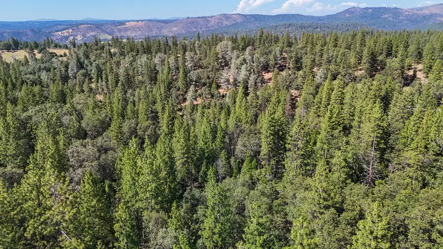 0 Grizzly Flat Road, Somerset, CA 95684 - #3