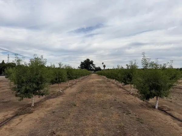 0 Williston Road, Live Oak, CA 95953