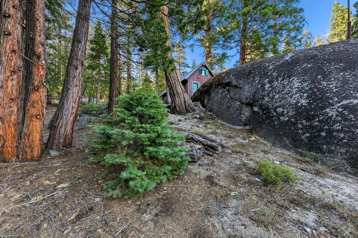 24 39 Milestone Tr, Kyburz, CA 95720 - #1