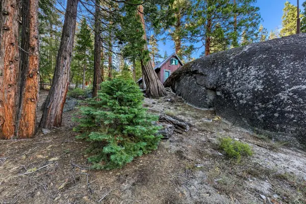 24 39 Milestone Tr, Kyburz, CA 95720