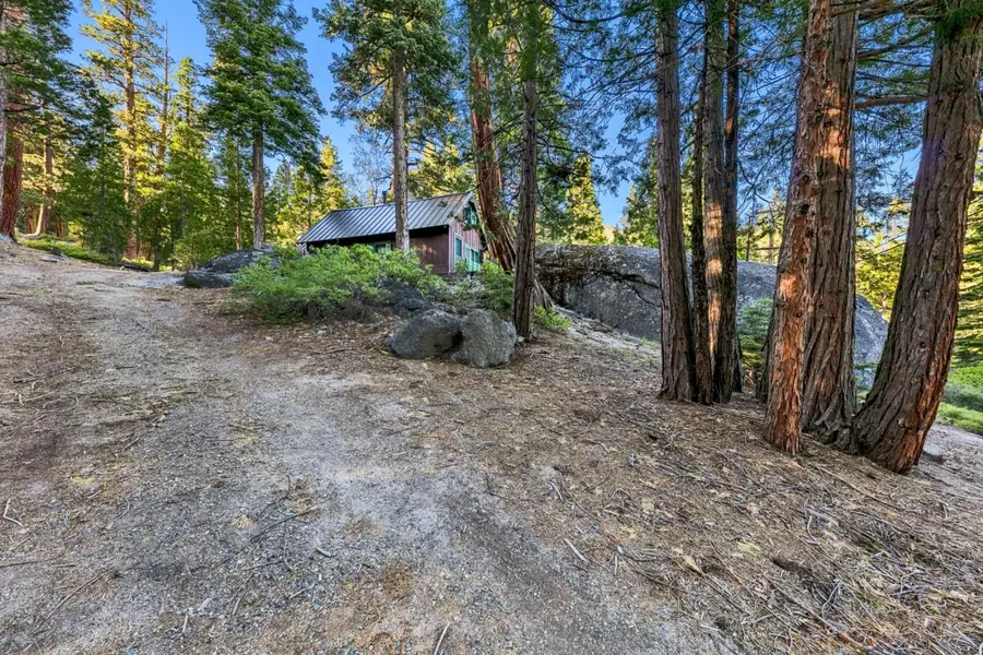 24 39 Milestone Tr, Kyburz, CA 95720 - #2