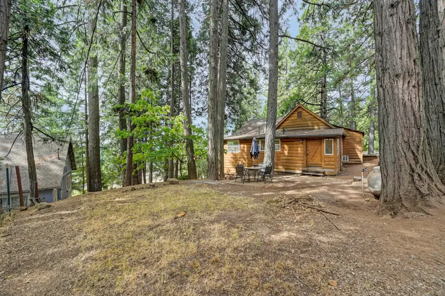 2972 School Street, Pollock Pines, CA 95726 - #2