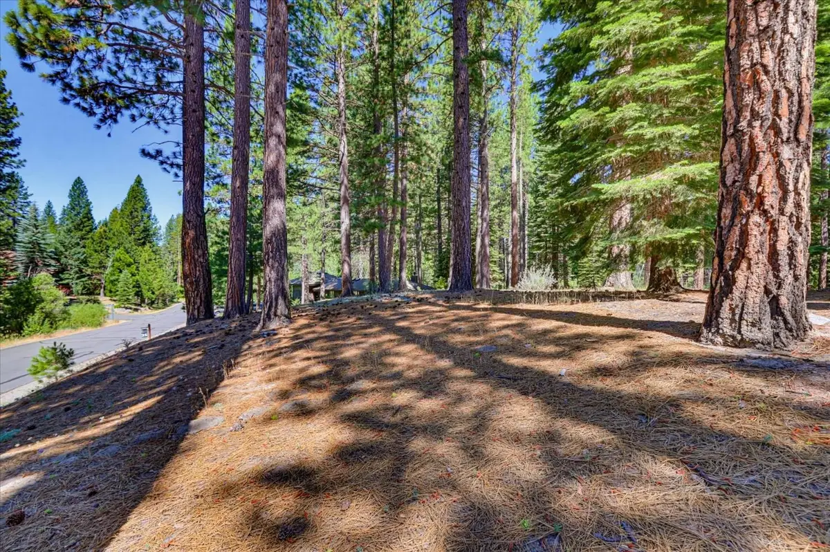 292 Mckenzie Trail, Clio, CA 96106 - #1