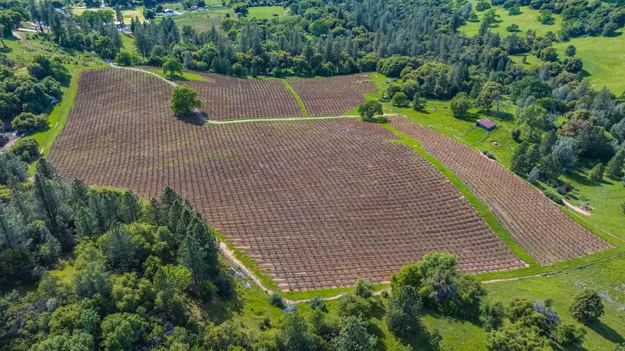 15111 Tyler Road, Fiddletown, CA 95629 - #3
