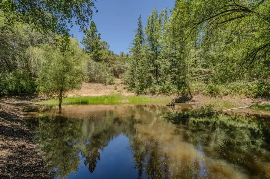 17000 Nina Lane, Fiddletown, CA 95629 - #2