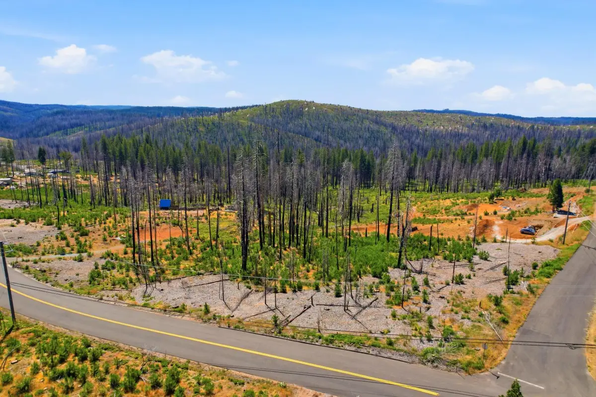 112 Grizzly Flat Road, Grizzly Flats, CA 95636 - #1