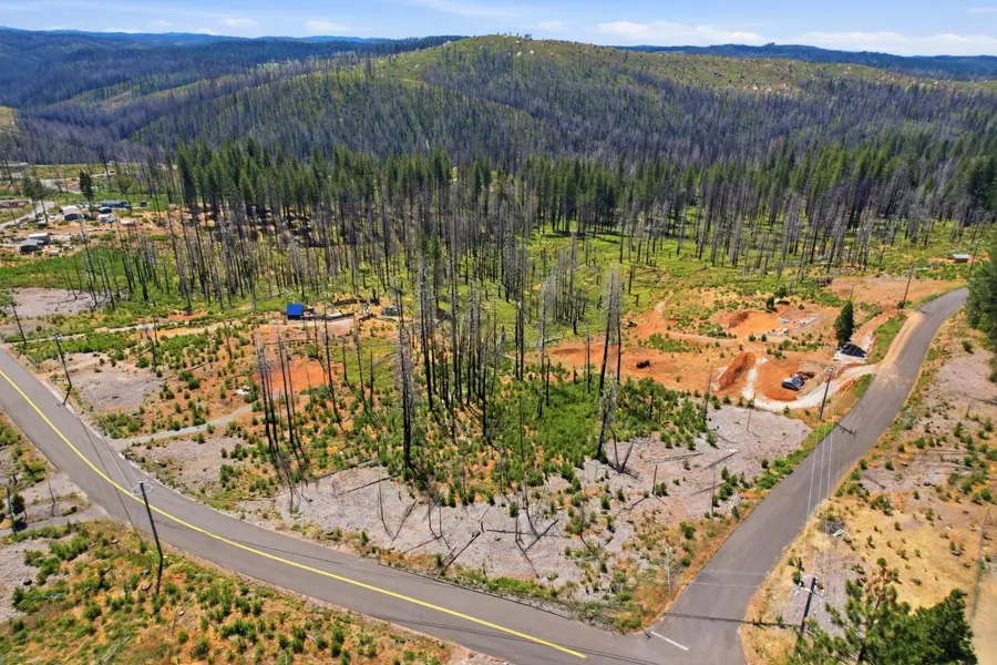 112 Grizzly Flat Road, Grizzly Flats, CA 95636 - #2