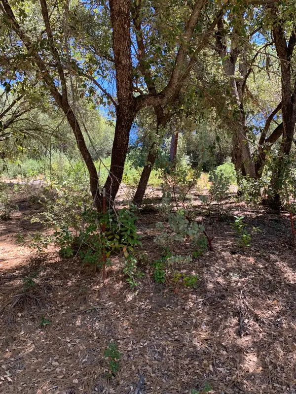 685 Grant Lane, Murphys, CA 95247