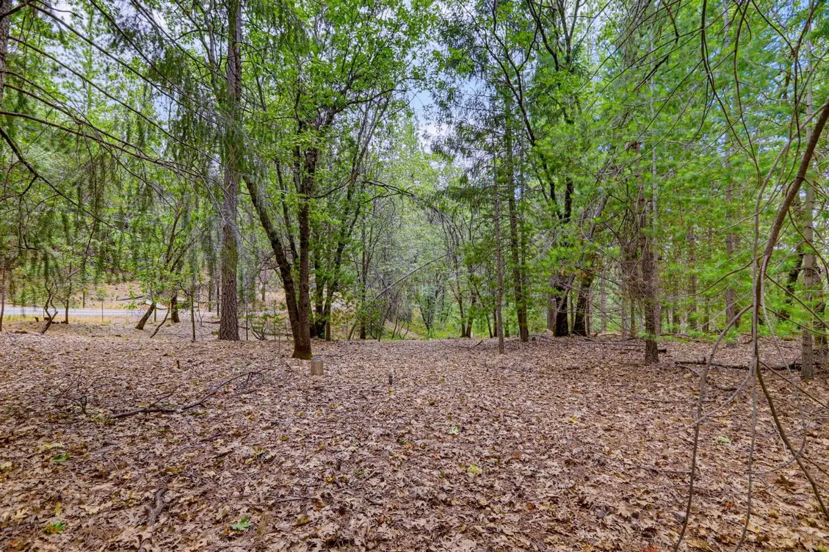 16020 Brooks Road, Grass Valley, CA 95945 - #1