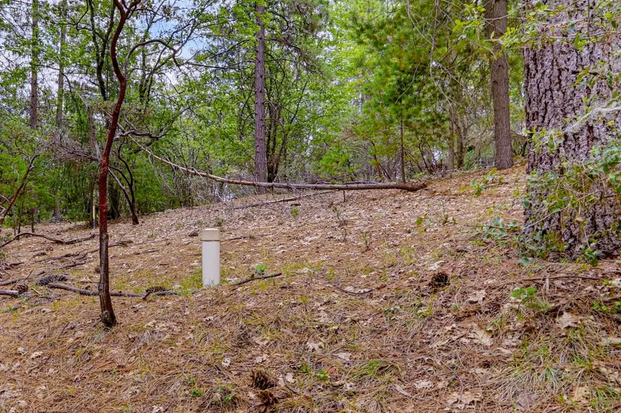 16020 Brooks Road, Grass Valley, CA 95945 - #2