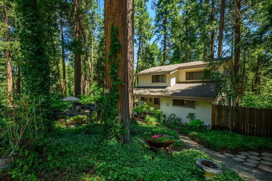 6801 Onyx Trail, Pollock Pines, CA 95726 - #2