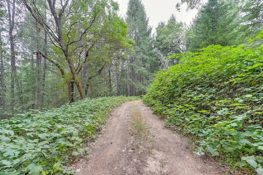 3701 Marshall Road, Garden Valley, CA 95633 - #3