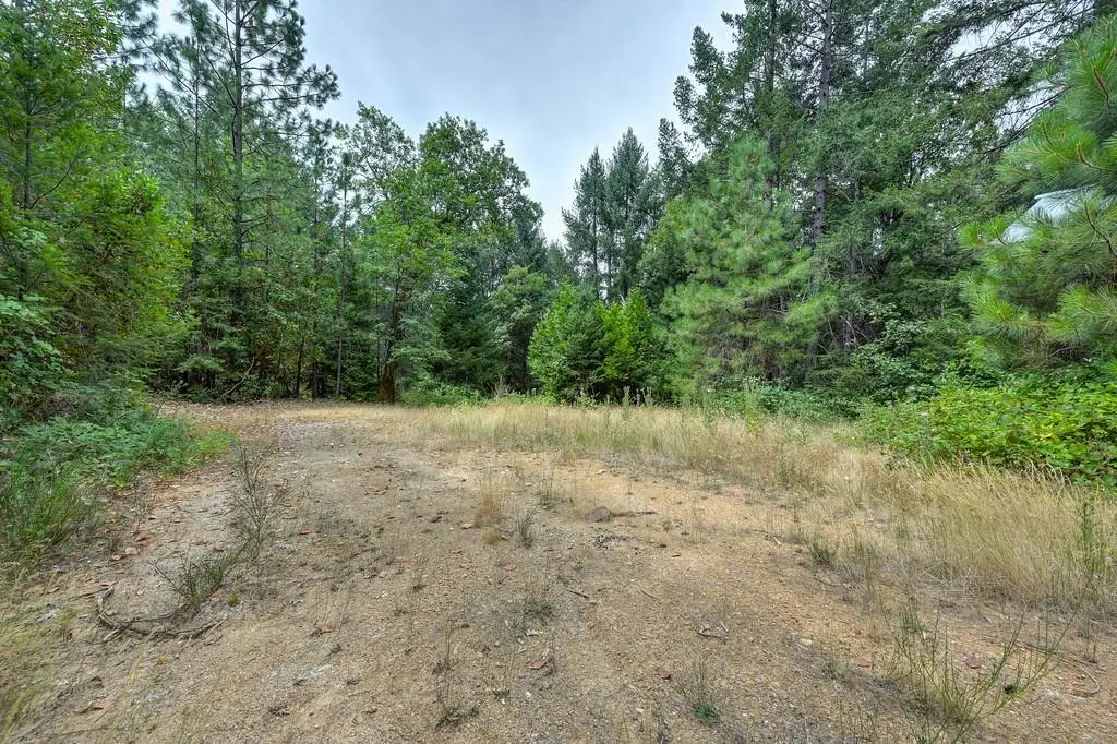 0 Marshall Rd, Georgetown, CA 95634 - #1