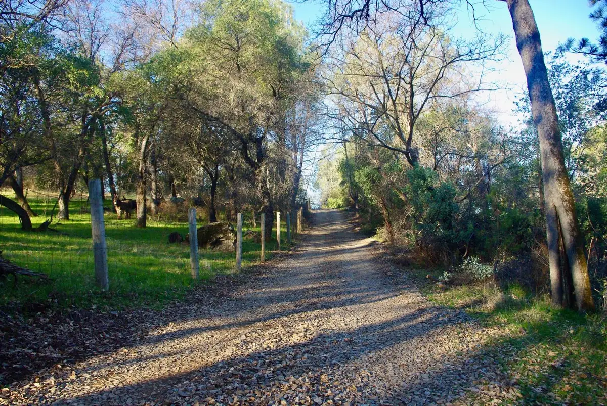 14331 Beitler Road, Nevada City, CA 95959 - #1