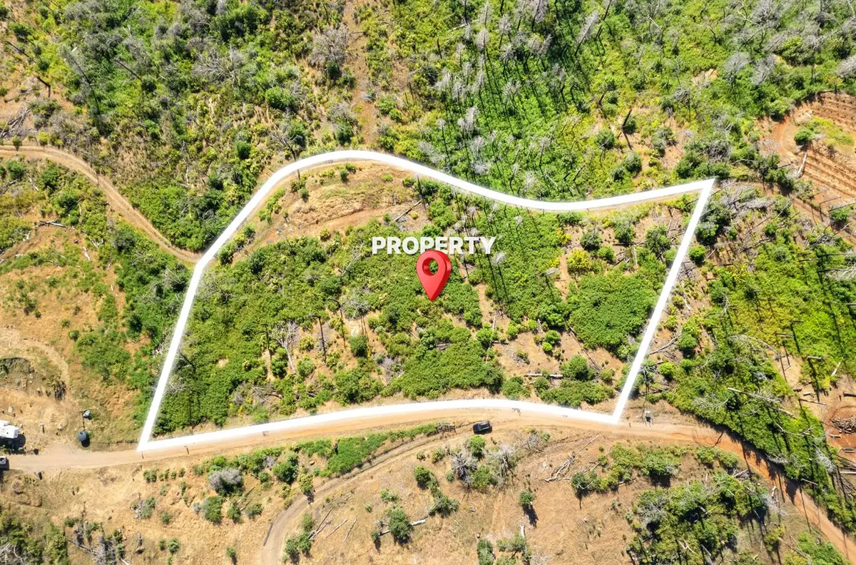 0 Pine Tree Lane, Berry Creek, CA 95916 - #1