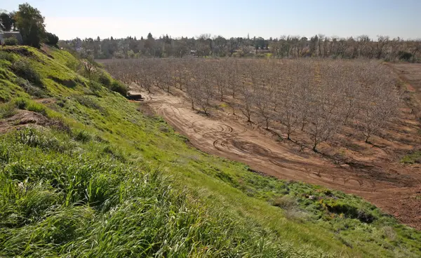 0 Jackson Road, Oakdale, CA 95361