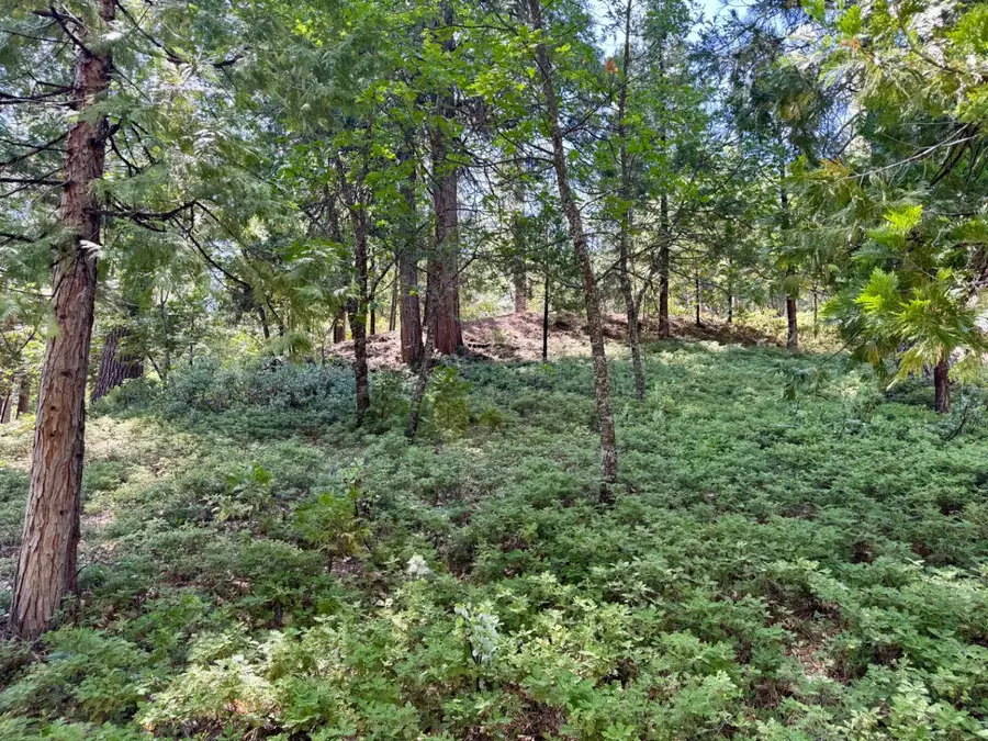 1647 Gertrude Way, Arnold, CA 95223 - #2