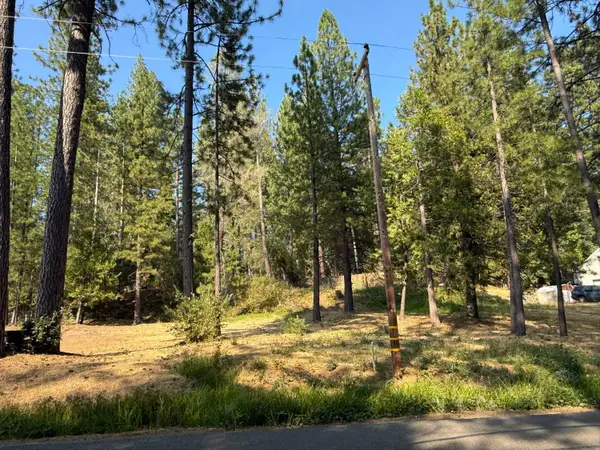 16970 Old Downieville Highway, Nevada City, CA 95959