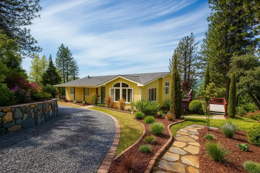 14541 Fricot City Road, Sheep Ranch, CA 95246 - #2