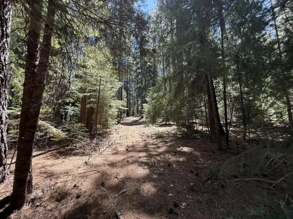 11250 Washington Road, Nevada City, CA 95959