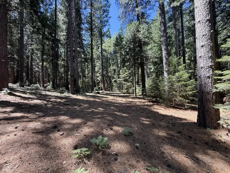 11250 Washington Road, Nevada City, CA 95959 - #2