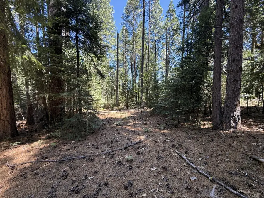 11250 Washington Road, Nevada City, CA 95959 - #3