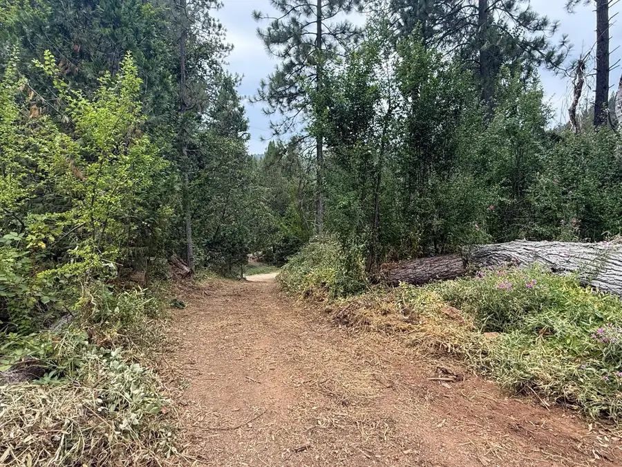 16530 Maybert Road, Nevada City, CA 95959 - #2