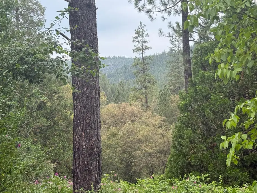 16530 Maybert Road, Nevada City, CA 95959 - #3