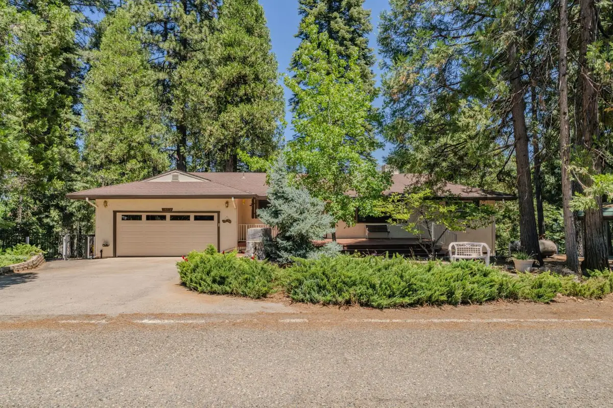 16502 Meadow Vista Drive, Pioneer, CA 95666 - #1