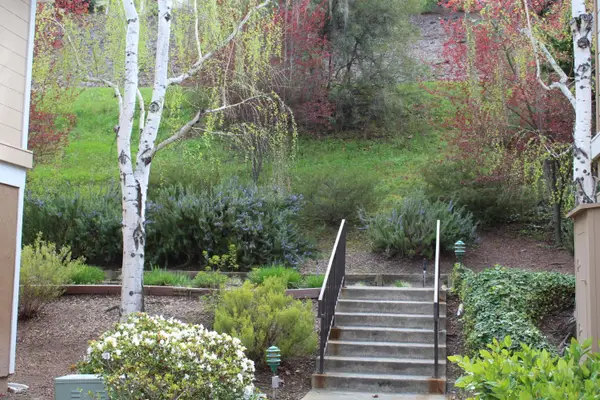 1405 Ptarmigan Drive #2, Walnut Creek, CA 94595