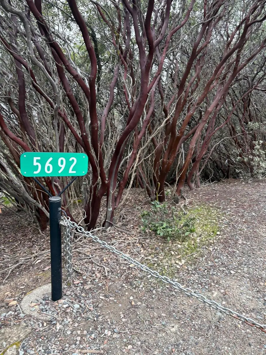 0 Jackass Ridge Rd, Coulterville, CA 95311 - #3