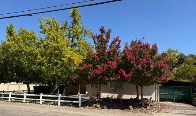 6317 Grant Avenue, Carmichael, CA 95608 - #2