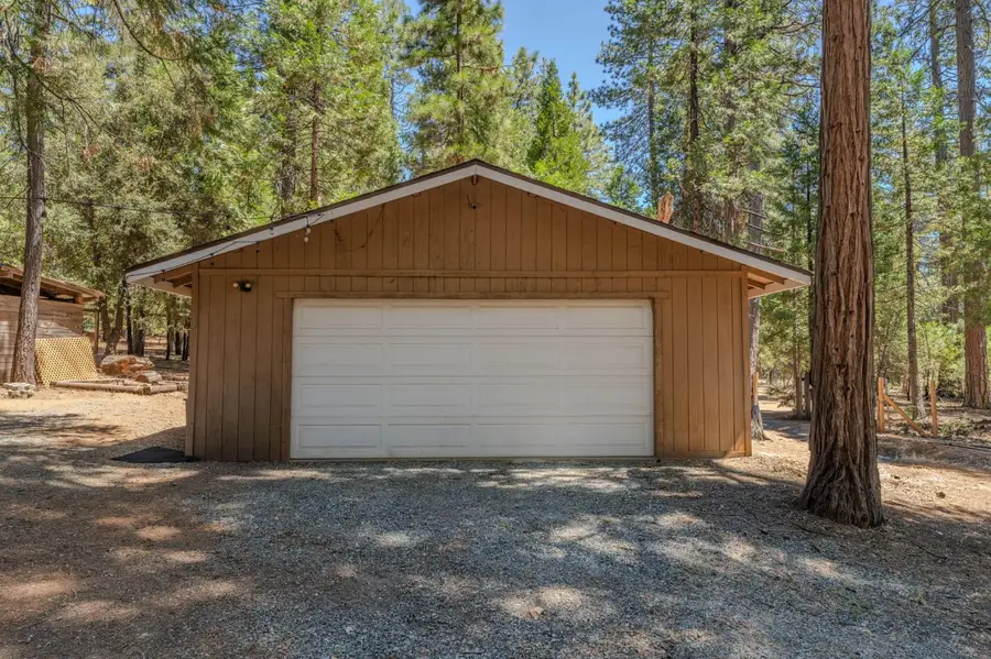 19720 Bear Court, Volcano, CA 95689 - #3