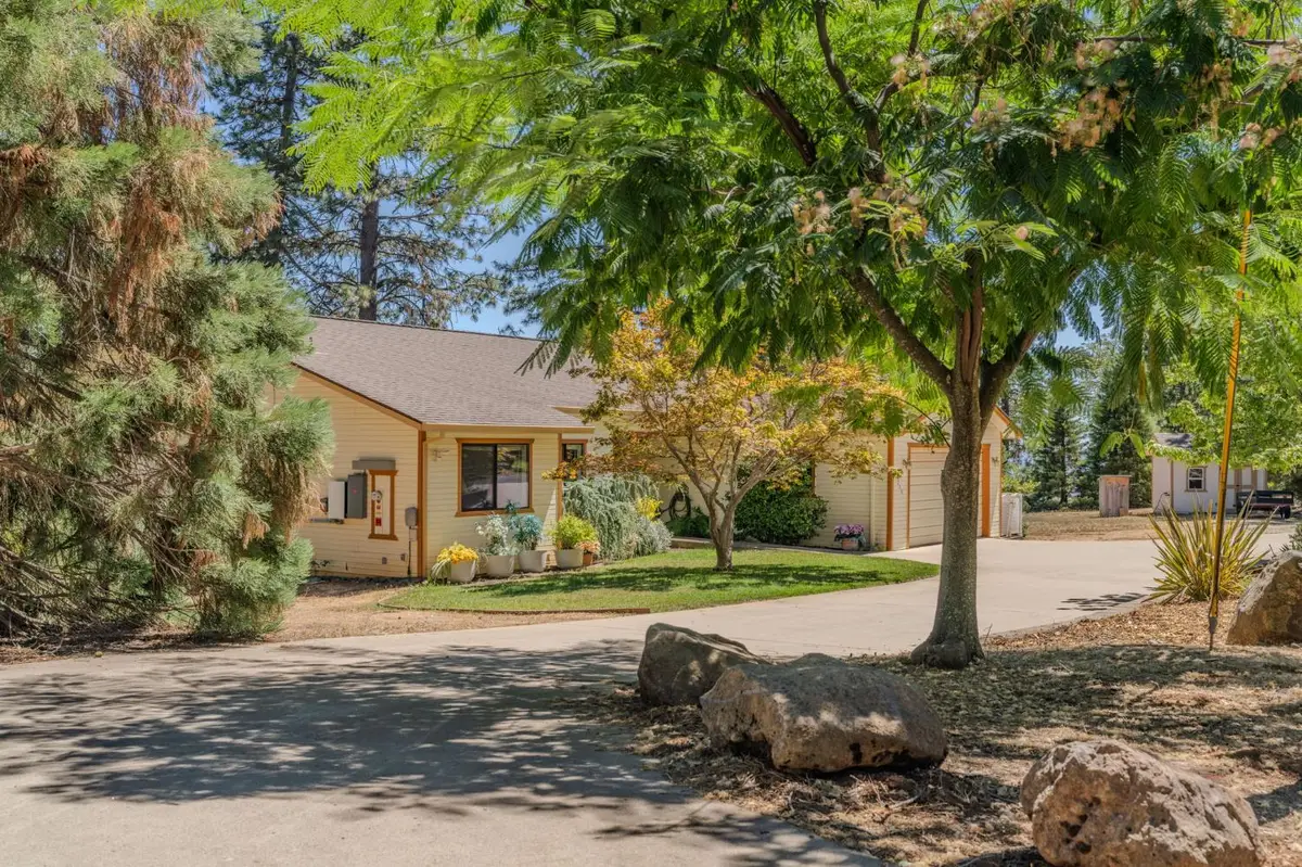 14206 Williams Road, Pioneer, CA 95666 - #1