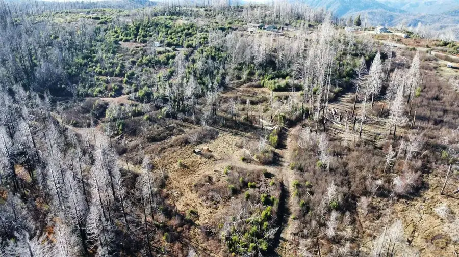 29 Sheltering Pines Road, Berry Creek, CA 95916 - #3