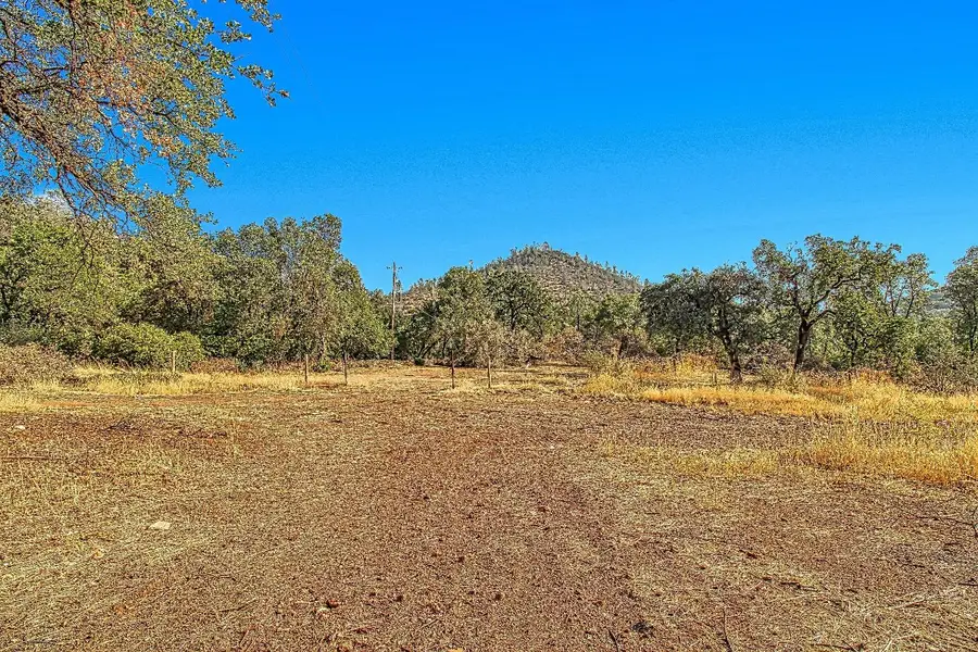 9955 Highway 49, Coulterville, CA 95311 - #2